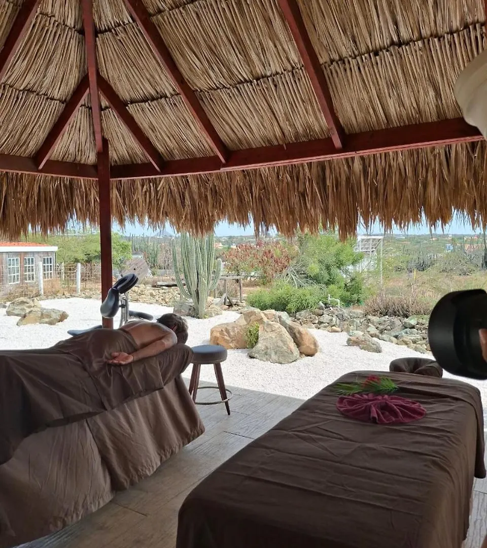 Casita Baby Beach Noord 0*,  Aruba